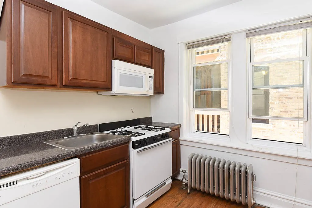 Astounding Studio, 1 Bath at Argyle + Springfield (Albany Park) — Photo 3