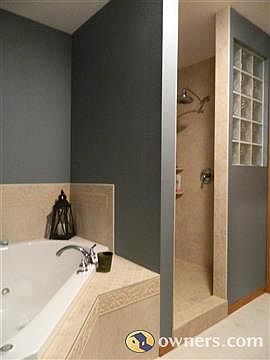 Jacuzzi tub and shower view