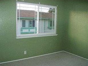 1st image of 571 Bamboo Ct