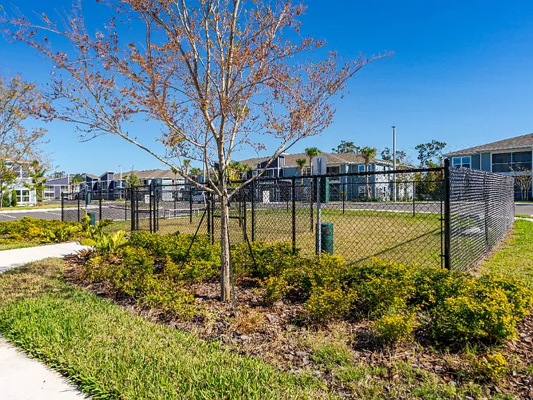 Dream Winter Haven — Photo 15