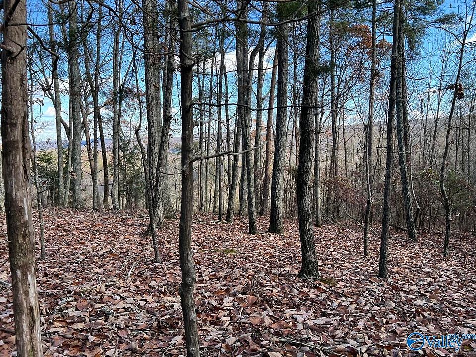 1st image of County Road 483