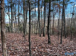 County Road 483, Collinsville, AL 35961