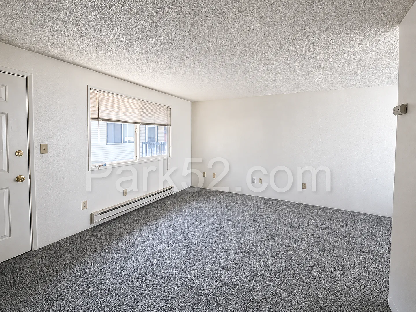 Indoor Cat Friendly Upper Level North Tacoma Apartment — Photo 4