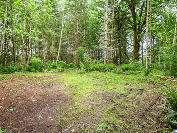 Nka Lakenes Rd, Quilcene, WA 98376