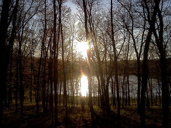 4th image of 11373 S Rabbit Rd
