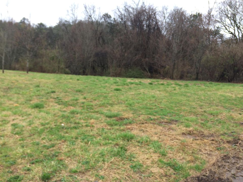2nd image of W Lakeview Cir