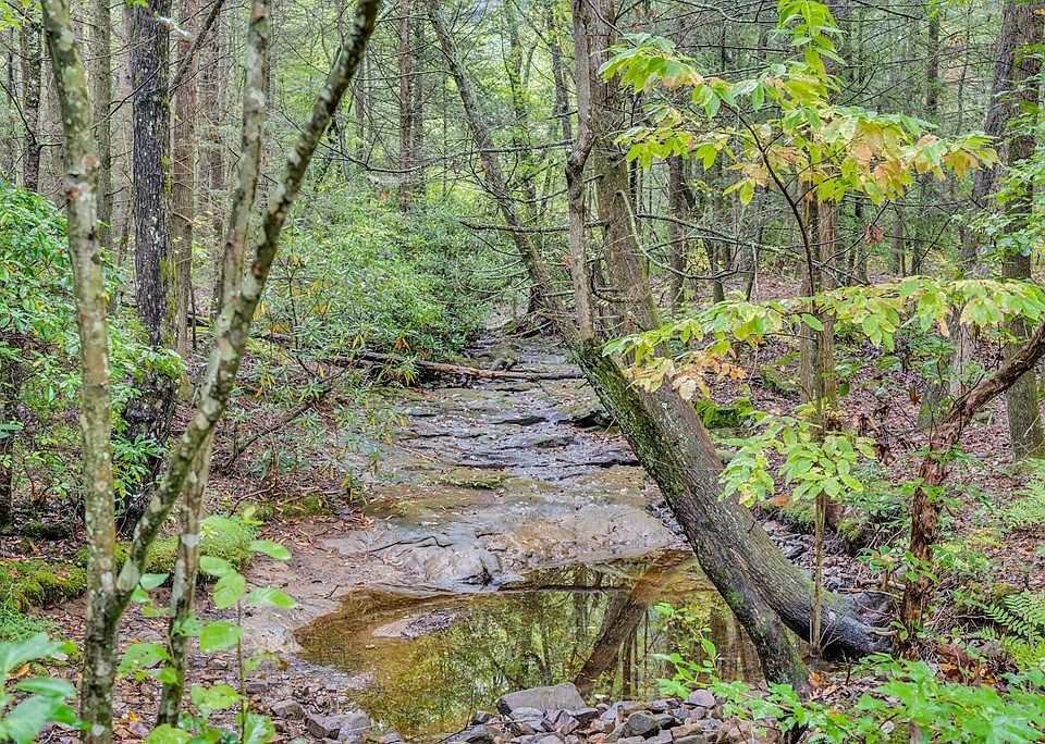 25th image of this home