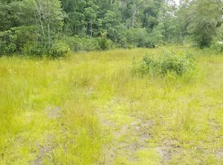 254 Shrine Club Rd, Jesup, GA 31545