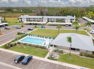 111 Nancy Dr, Oldsmar, FL 34677