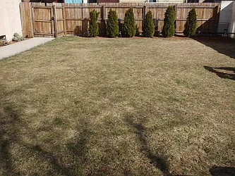 Rented by Brian David Realtors