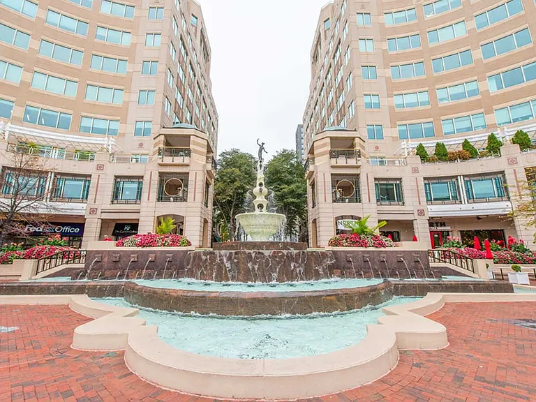 Reston Town Center with wide selection of restaurant, shops and outdoor activities