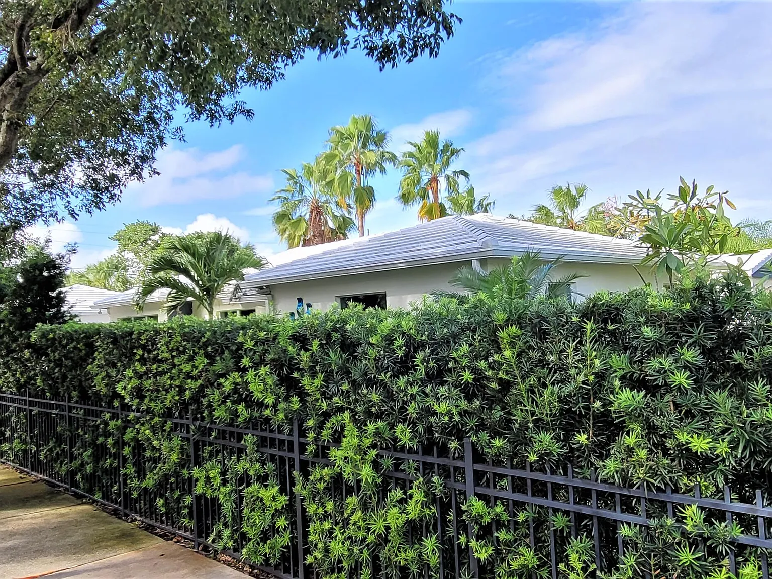1 bed, 1.0 bath, 620 sqft, $2,100 — Photo 2
