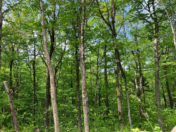 404 Fox Mt Road #M404, Wilmington, VT 05356