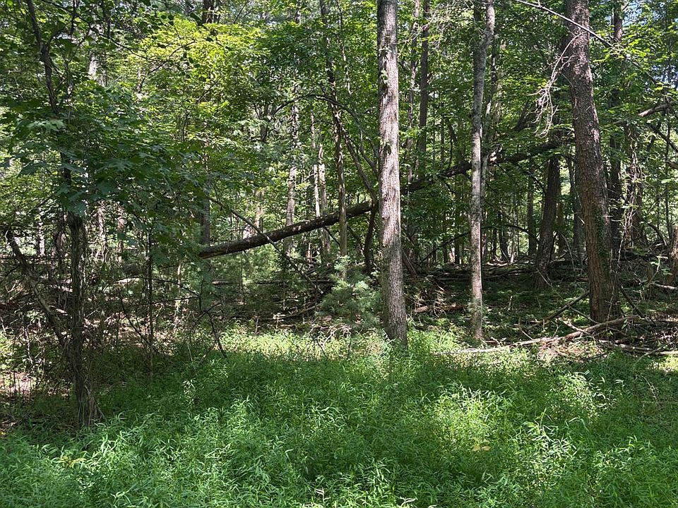 2nd image of 0 Cheatham Rd
