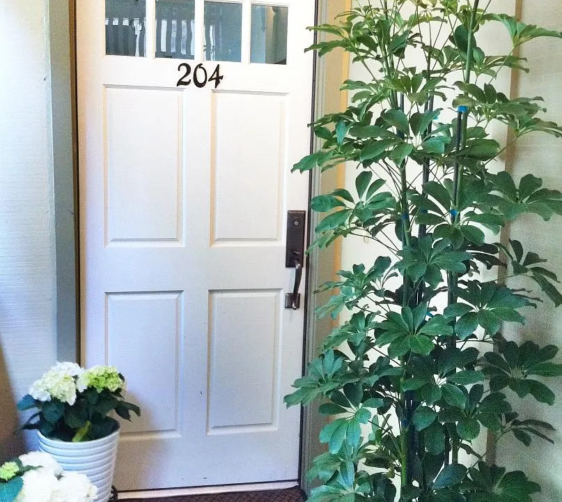 204 Glen Dr