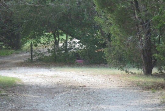 1st image of 141 Peaceful Trl