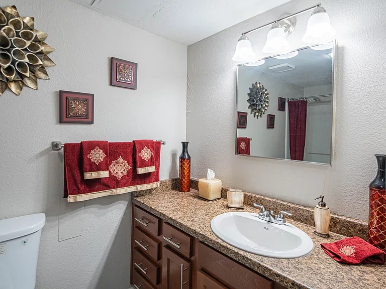 Palazzo Senior Apartments - 55+ Active Adult Apartments — Photo 12