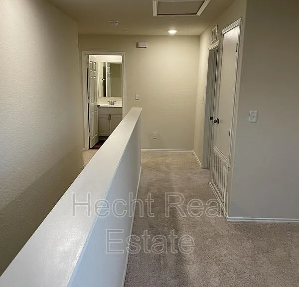 451 Forsythia — Photo 23