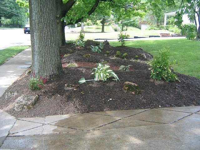 2nd image of 1047 N Geyer Rd