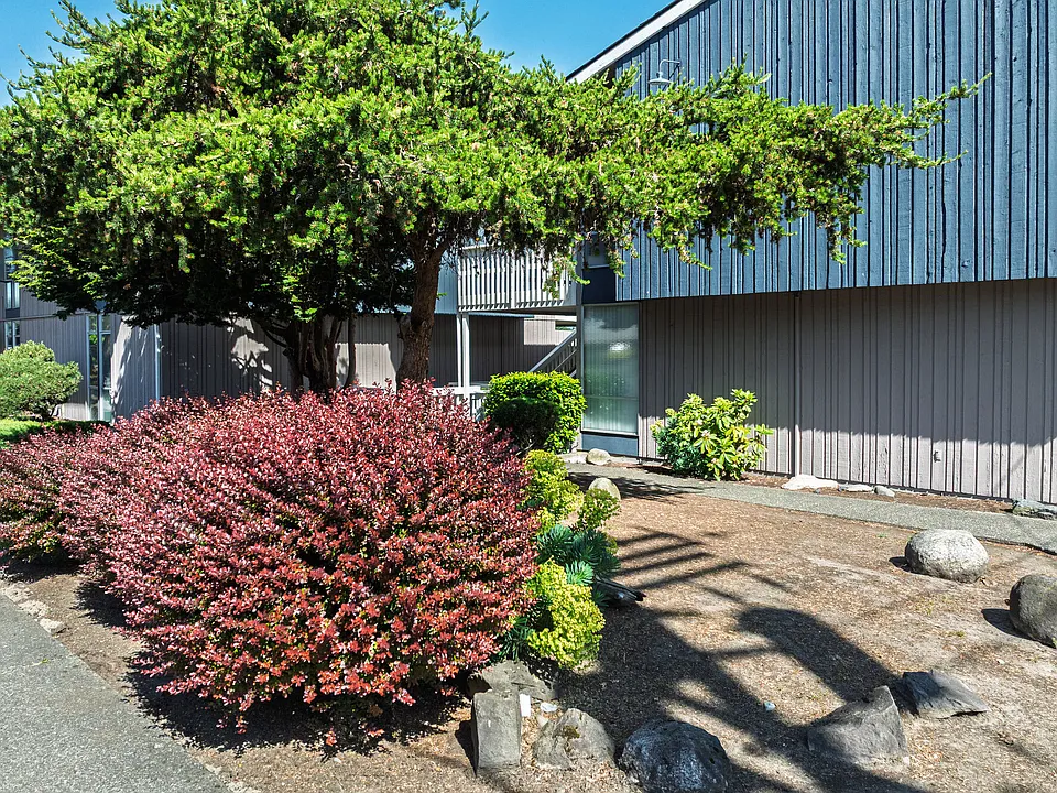 219 5th Ave NE