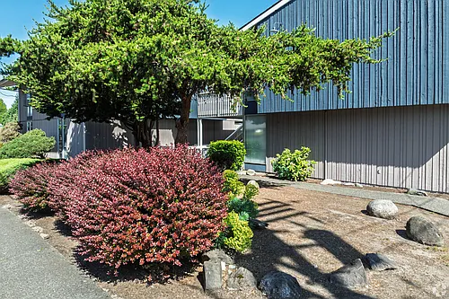 219 5th Ave NE Photo 1