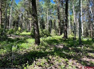 457 Ute Drive, Cimarron, CO 81220