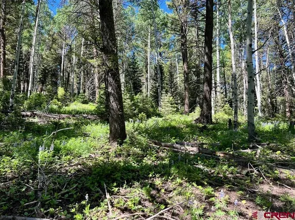 457 Ute Drive, Cimarron, CO 81220