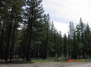 6417 Carmen Valley Rd, Portola, CA 96122