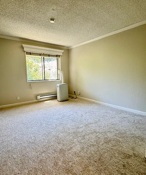 1407 Marchbanks Dr — Photo 9