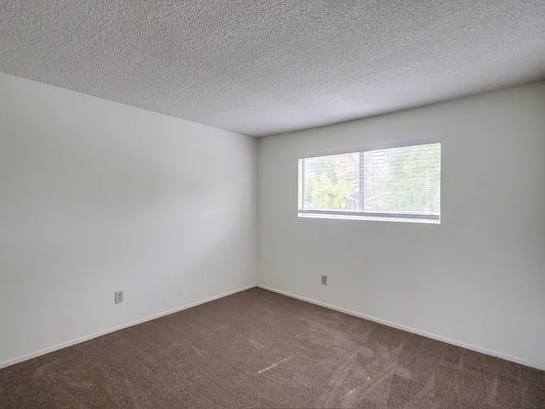 4002 Camino Calma — Photo 14