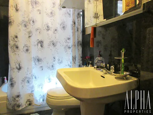 Rented by Alpha Properties NYC I LLC | media 18