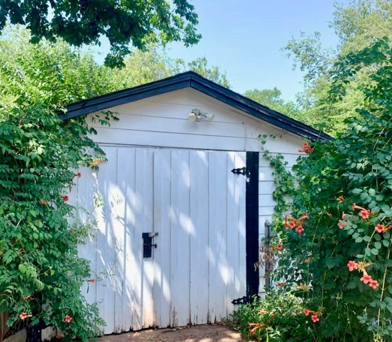2 bed, 1250 sqft, $1,475 — Photo 4