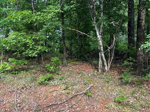 3rd image of 73 Bowes Ln