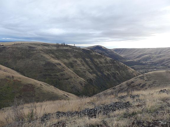 4th image of 17550 Stoney Point Rd
