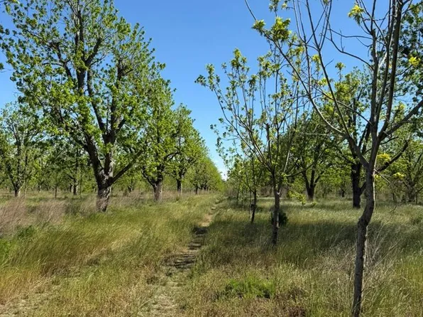 TRACT 2A Ganas Rd, Naylor, GA 31641