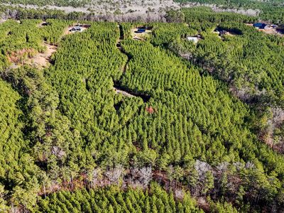 375 Bagley Rd, Forsyth, GA, 31029