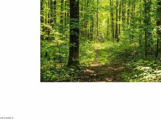 1633 Bell Rd, Chagrin Falls, OH 44022