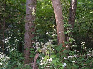 Low Gap Rd., Helenwood, TN 37755