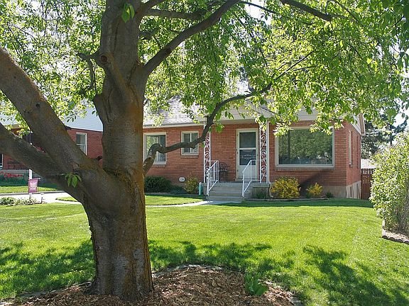 Front Yard