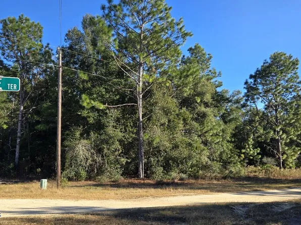 8359 N Irene Ter, Crystal River, FL 34428