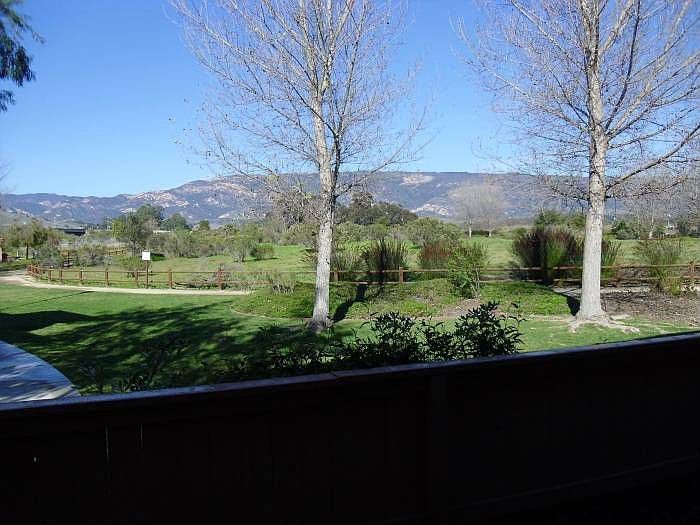 View from the Patio