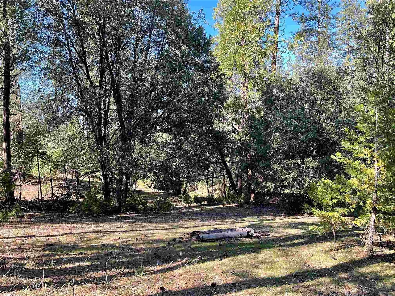 12918 Pine Mountain Dr photo 1