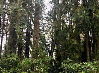 0 Xx, Amanda Park, WA 98526