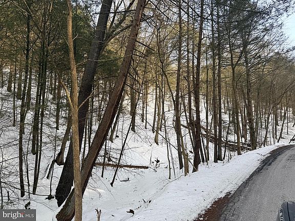 3rd image of Polecat Hollow Rd