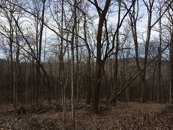 2nd image of 1008 Vaughn Crest Dr #10202