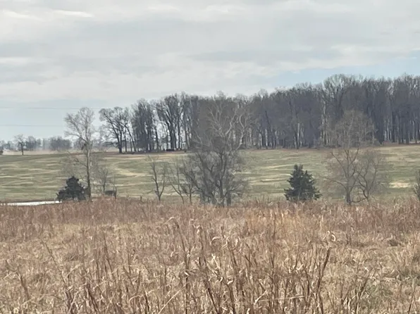 Tbd Mcdonald Road, Stella, MO 64867