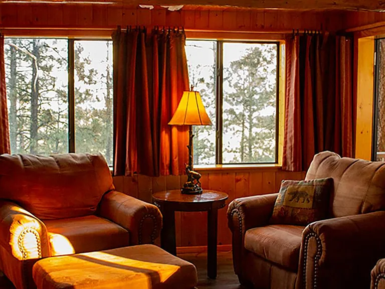 Livingroom with comfortable oversized furniture and views.