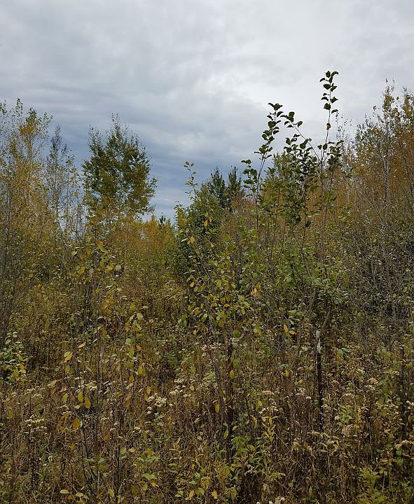 1st image of Bluff Dr