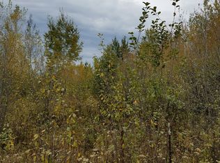 Bluff Dr, Pittsville, WI 54466