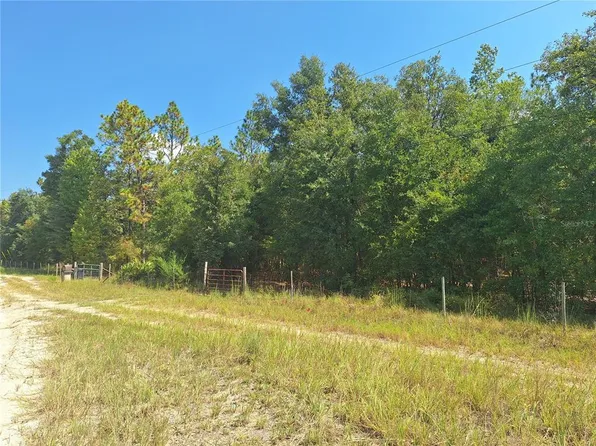 LOT 9 NW 73rd Way Lot 9, Bell, FL 32619